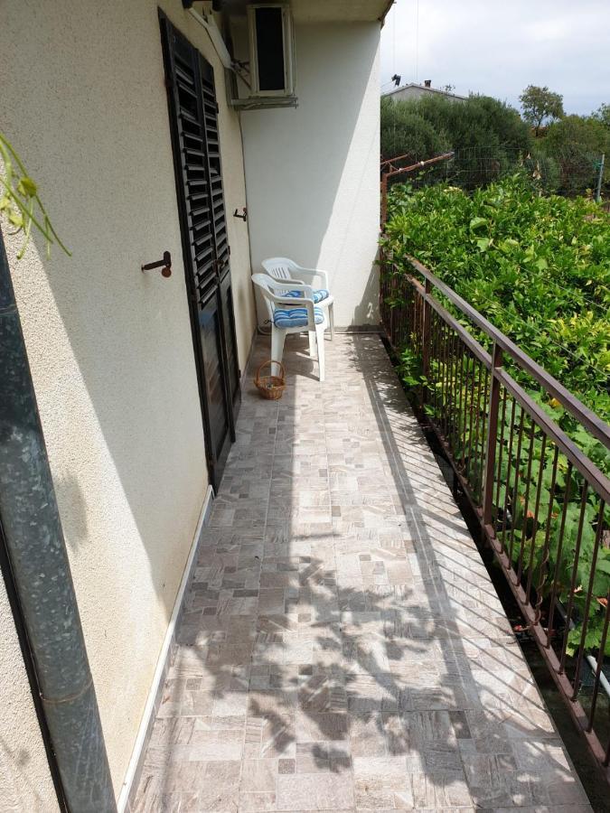 Apartments Ljiljana オレビック エクステリア 写真