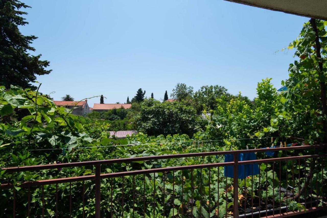 Apartments Ljiljana オレビック エクステリア 写真